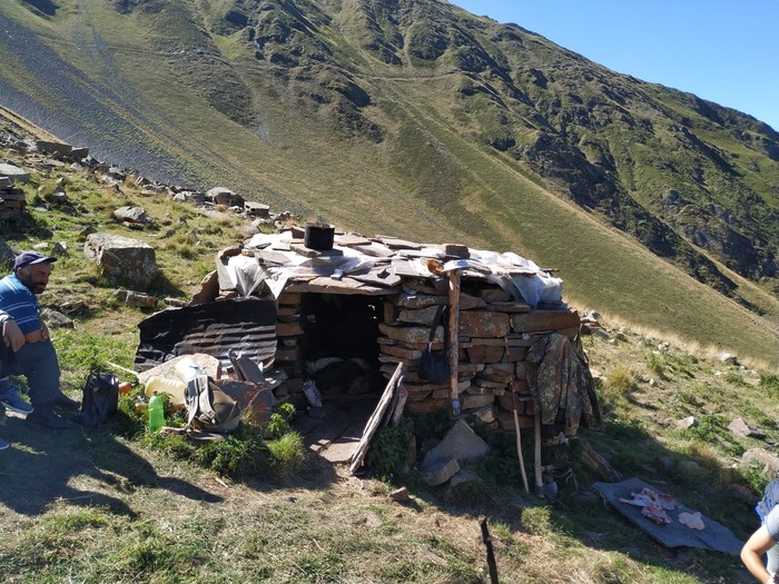 shepherd's shack - My, Dagestan, Sheep, Work, Shepherd, Longpost