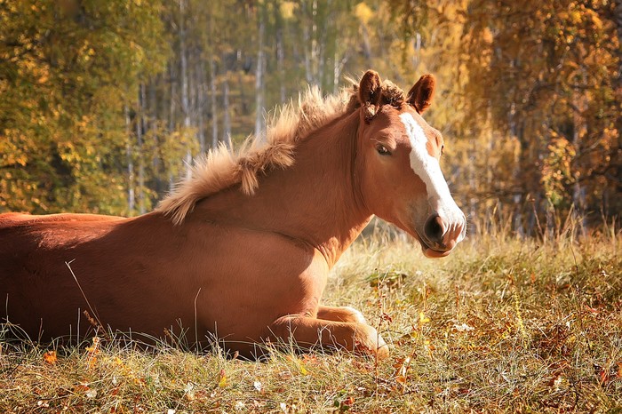 Осень на пороге.