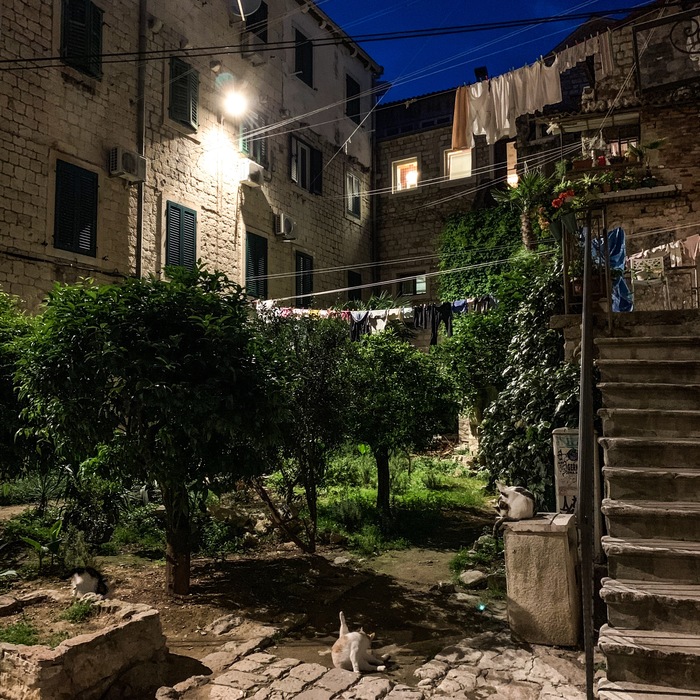 ��� ���� � ������ ������