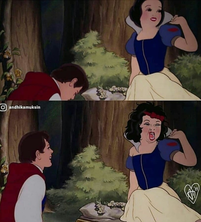 A fairy tale is a lie, but there is a hint in it ... - Images, Expectation and reality, Princess, Humor, Longpost