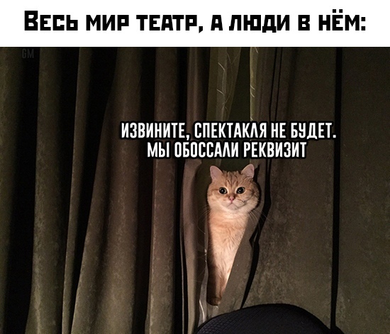 A little bit naughty - Humor, Memes, cat, Theatre, Picture with text