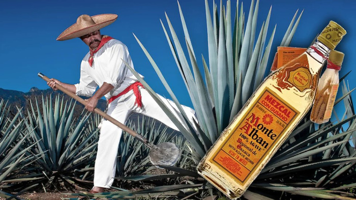 Mezcal is the big brother of tequila! - My, Tequila, Mescal, Mexico, Story, Alcohol, Longpost