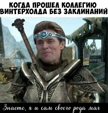 Маг, в каком-то смысле - The Elder Scrolls V: Skyrim, Коллегия магов винтерхолда, Волшебник, Маг, Юмор, Винтерхолд