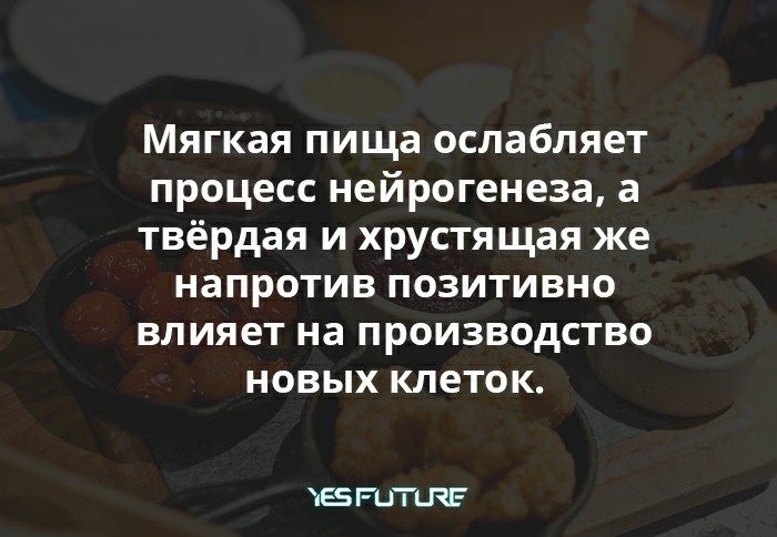 Как восстанавливаются наши нервные клетки? - Моё, Yes Future, Мозг, Нейроны, Нервные клетки, Регенерация, Человек, Длиннопост