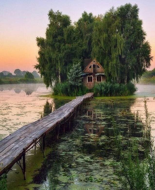 Abandoned house in the swamp - Reddit, The photo