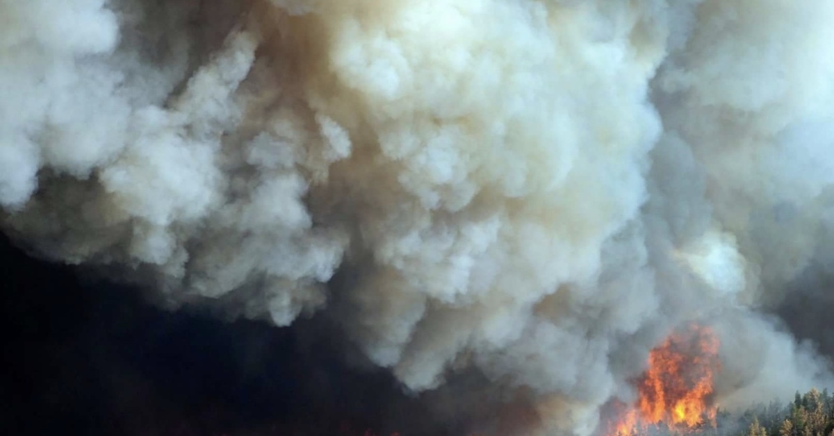 Дым после пожара. Лесной пожар дым. Дым от лесных пожаров. Пожары в Сибири. Загрязнение воздуха лесными пожарами.