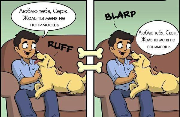 Жаль, ты не понимаешь