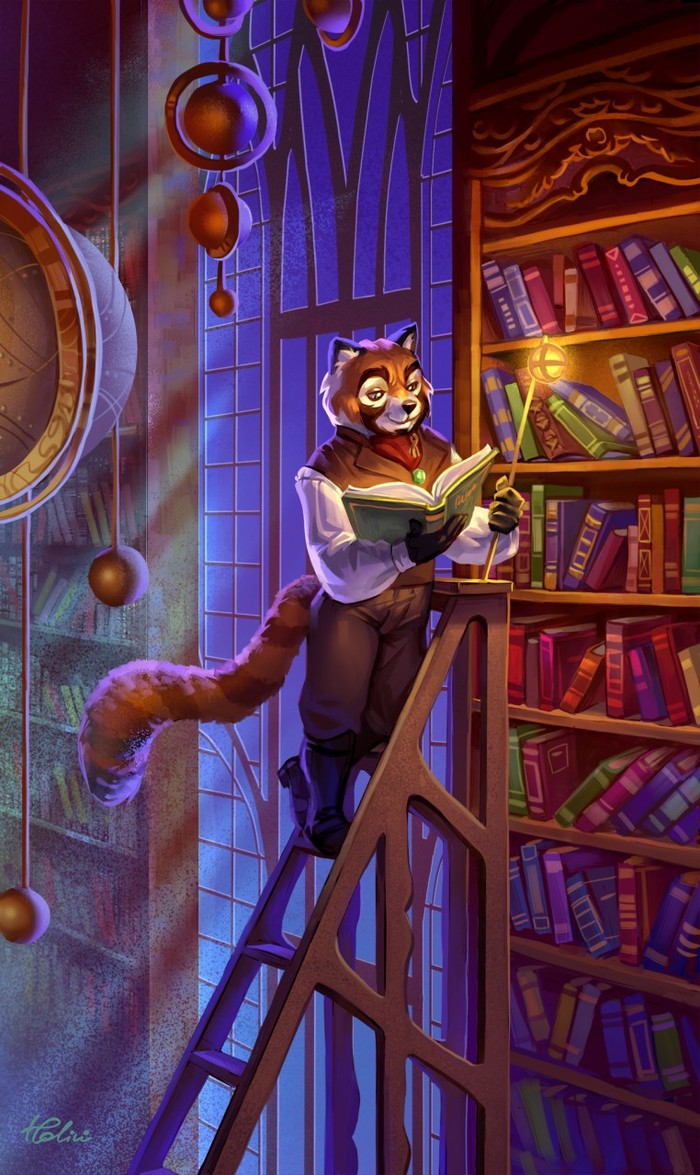 Library - Furry, Art, Holivi, Books