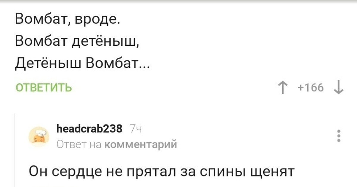 Комбат - вомбат | Пикабу