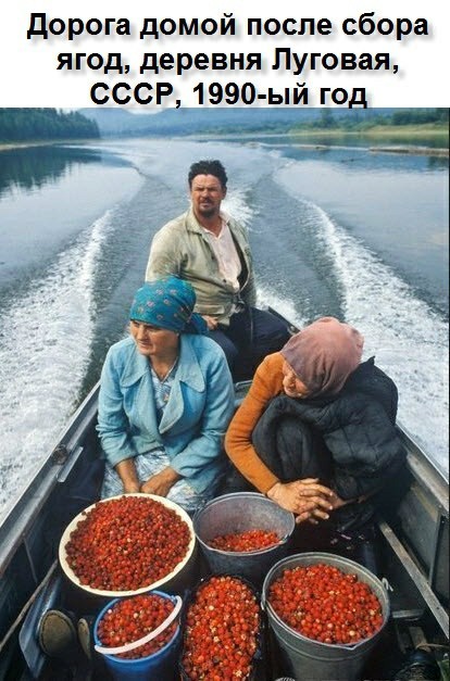 End of the era of the USSR - , Berries, the USSR, 1990