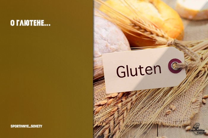 About gluten - My, Sport, Тренер, Sports Tips, Research, Gluten, Nutrition, Myths, Diet, Longpost