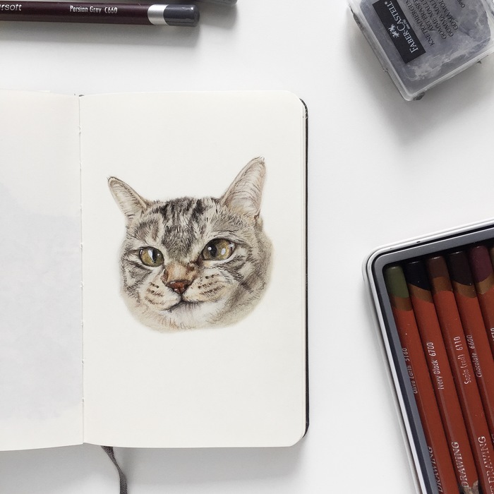 Disgruntled cat - My, cat, Catomafia, Portrait, animal portraits, Pet, Colour pencils, Pets