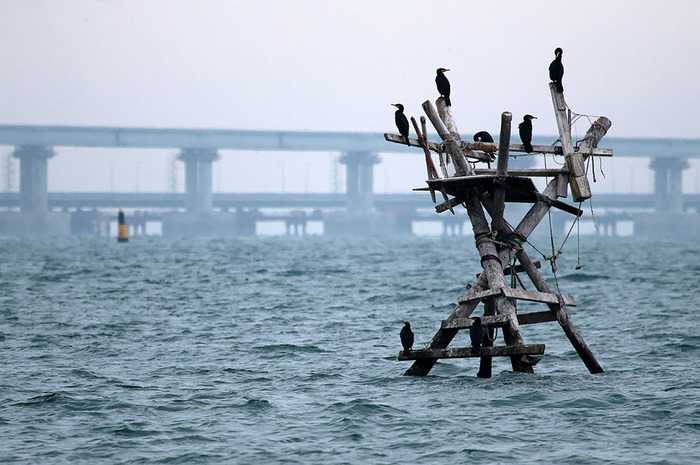 Crimea - Sea, Sailors, Bridge, Kerch bridge, Crimean bridge