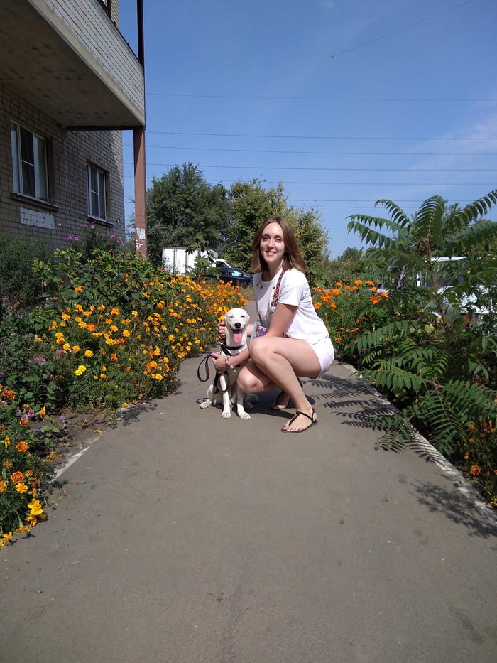 ����� ������� �� ������