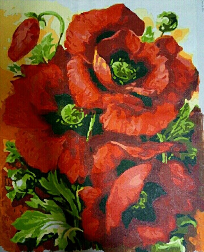 Poppies - My, Paintings by numbers, Poppies, Flowers, Painting, Poppy