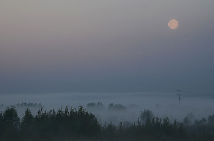 Full moon - My, Fog, Morning, , The photo