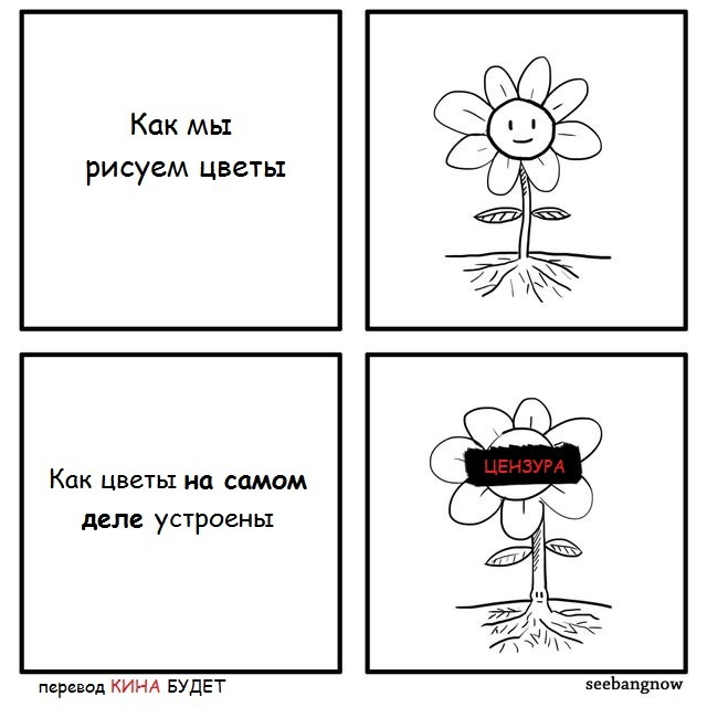 And they told me in biology class! - Flowers, Anatomy, Comics, Translated by myself, Seebangnow