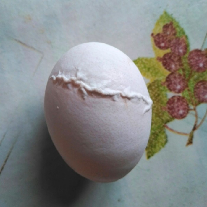 Scarred Egg - My, Egg, Unusual