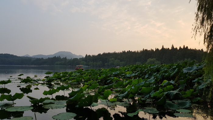 Озеру Сиху (Китай) Китай, Природа, Путешествия, Видео, Длиннопост