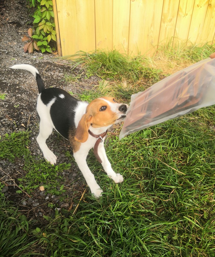 ,   --. , ,  ,  ,  , 
