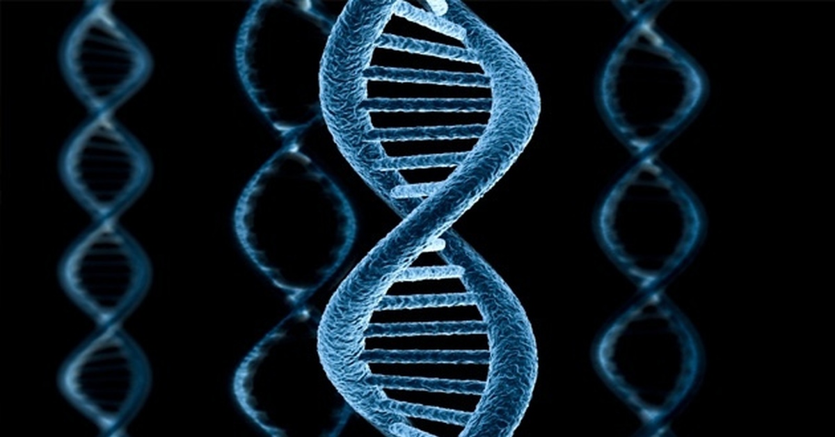 Днк фото. Фотография молекулы днк. День днк картинки. Показать все днк. Молекула днк.