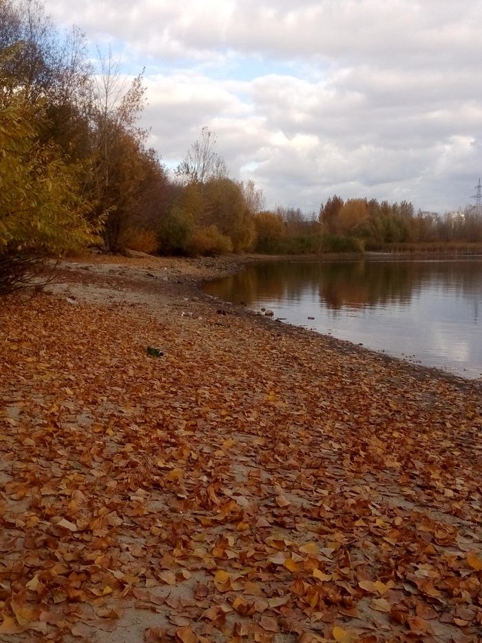 Золотая осень на пляже Фотография, Мобильная фотография, Осень, Пляж, Казань