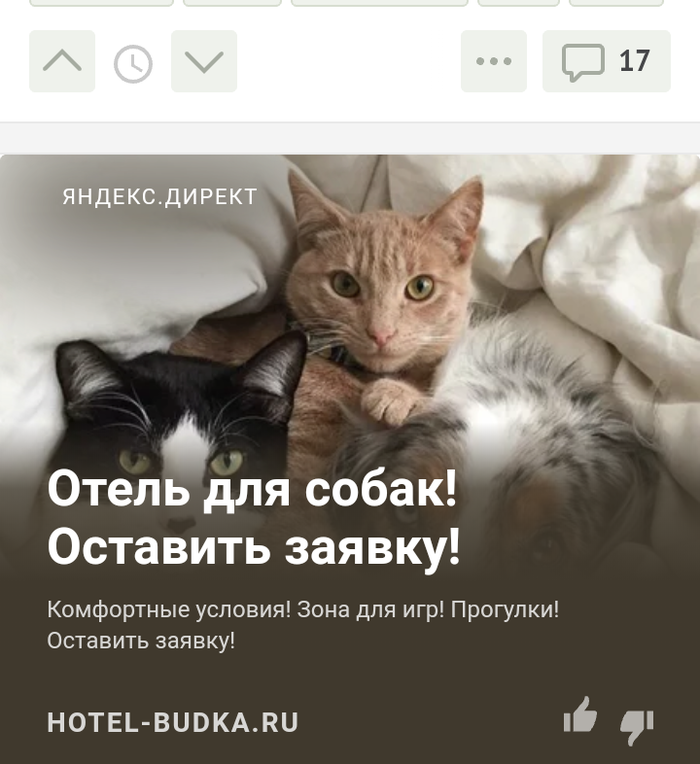 Яндекс жжет! Креативная реклама, Собака, Кот