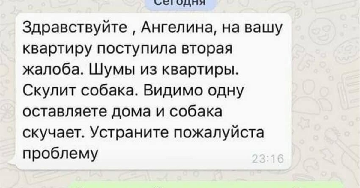 Ты пела так что выли все собаки. У меня нет собаки это я скулю. У вас собака воет у меня нет собаки это я.