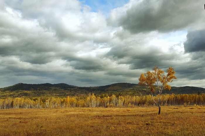 Autumn - My, Autumn, Transbaikalia, The photo