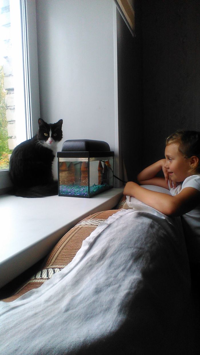 ������ � ��������