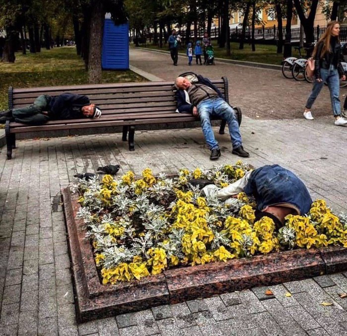 Muscovites really liked the new benches and flower beds - Moscow, Muscovites, Benches, Flower bed, Пьянство