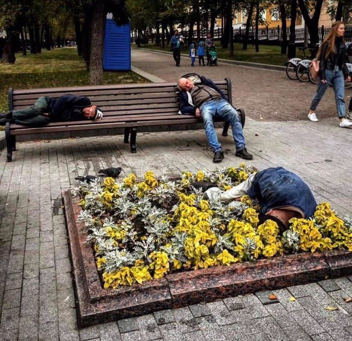 Москвичам очень понравились новые лавочки и клумбы - Москва, Москвичи, Скамейки, Клумба, Пьянство