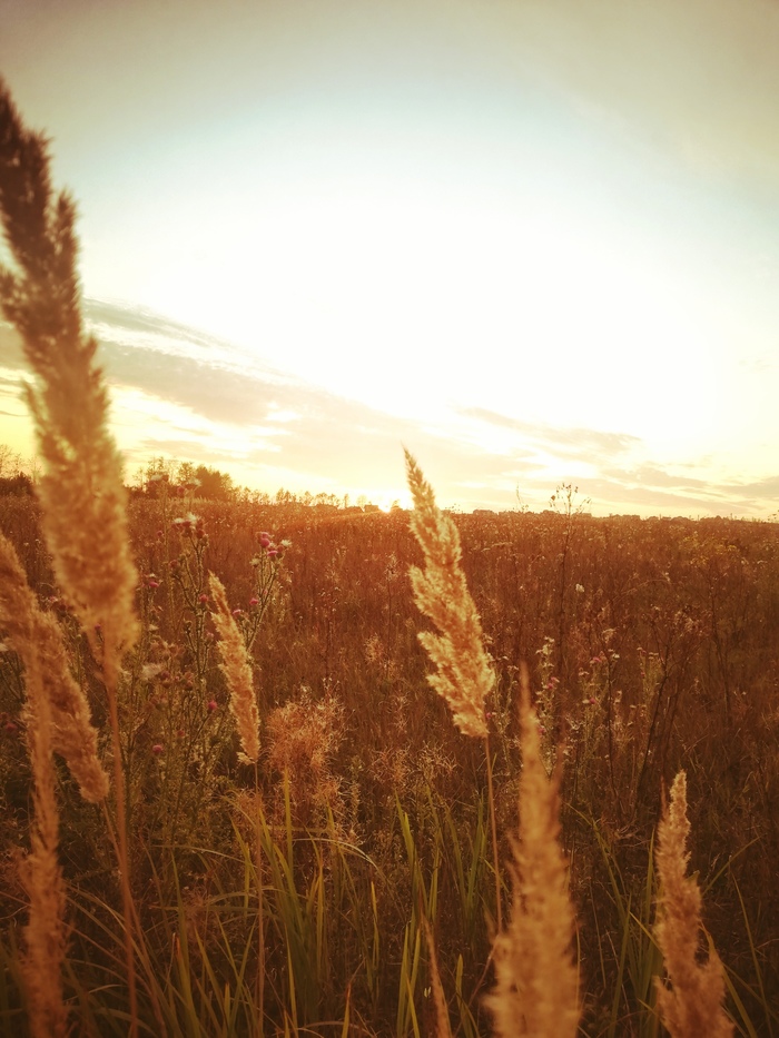 Summer sunset - Huawei p20 lite, My, Autumn, The photo, Village