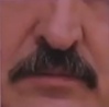 Mustache Lukashenka - My, Humor, Translation, Longpost