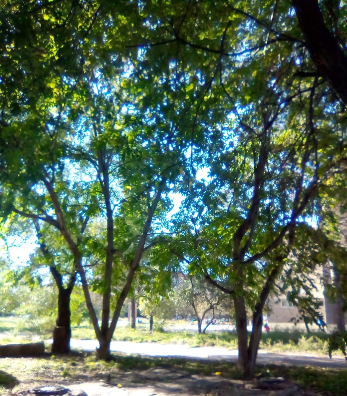     , , , 