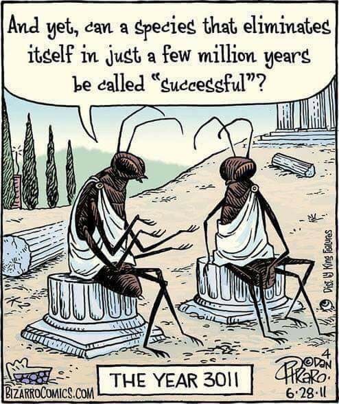 3011 - Bizarrocomics, Philosophy, Comics, Cockroaches