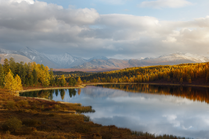 Goldshire - My, Nature, Landscape, Autumn, The mountains, Sunset, Mountain Altai, Altai, Photographer, Altai Republic