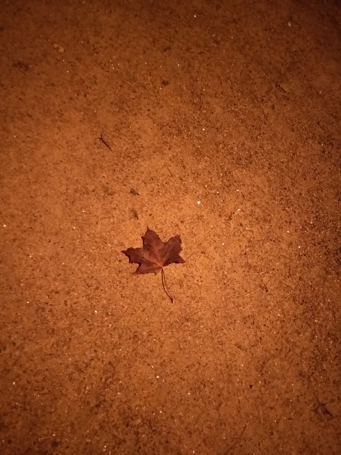 ��� ����� �����?