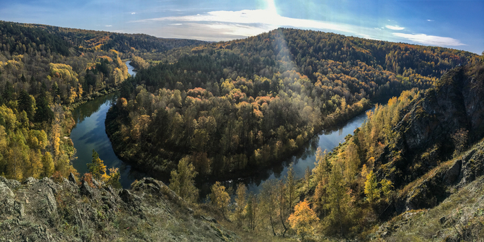 Autumn walk to St. John's wort - My, Autumn, Forest, Novosibirsk region, Longpost