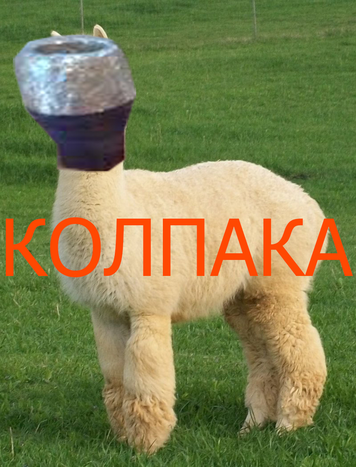 KOLPAKA ===== NEW ANIMAL - My, Animals, Creation, wildlife, Memes, , Grass