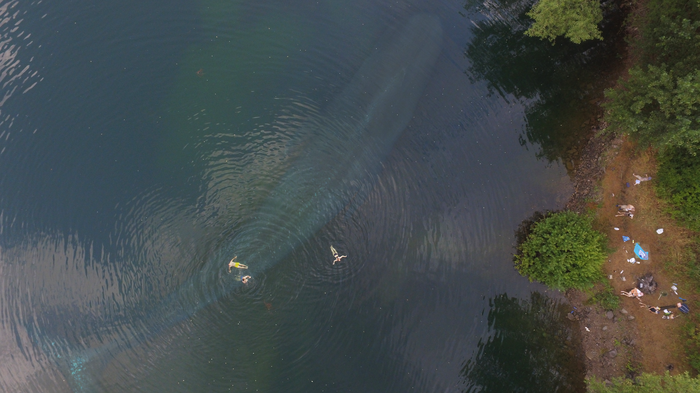 ��� ������������