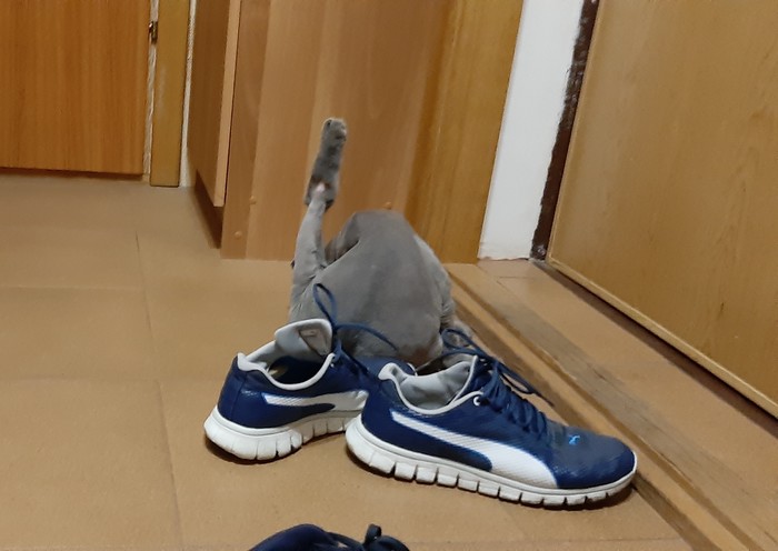 ����� ����