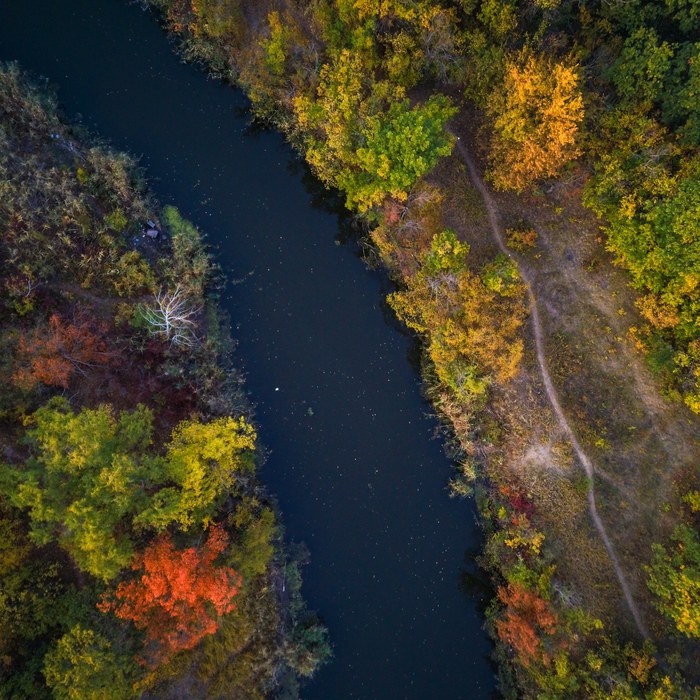 Autumn. - My, Autumn, Forest, River, The photo, Nature, Drone, Quadcopter