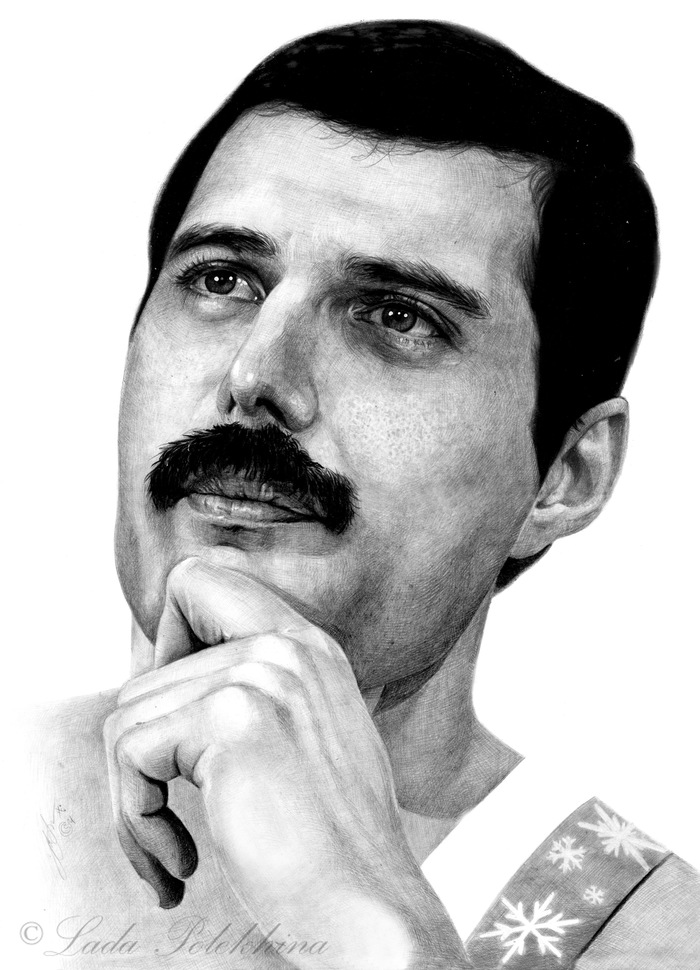 Portrait in pencil. - My, Portrait, Graphics, Simple pencil, Freddie Mercury, Queen, The singers, Musicians, Drawing