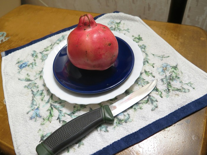 Death of a pomegranate. - My, The photo, Garnet, Grenades, Knife, Longpost, Hand grenade