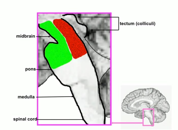     , , , , , , 