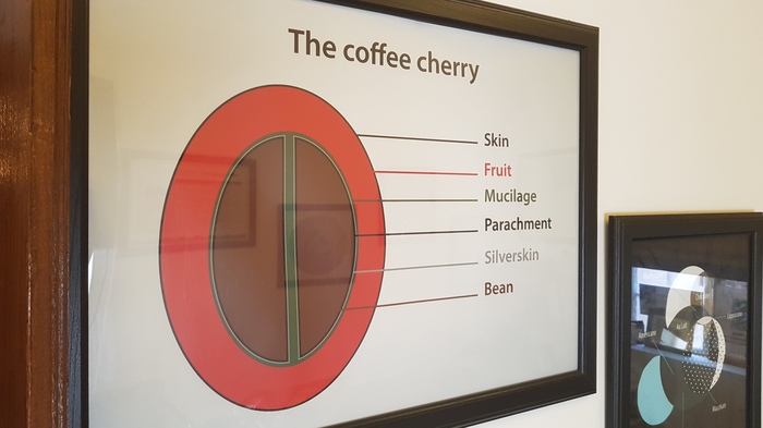 Кофеманам посвящается Кофе, Кофейня, Кофейный автомат, Кофемашина, Эспрессо, Профессионализм, Ценители, Дегустация, Длиннопост