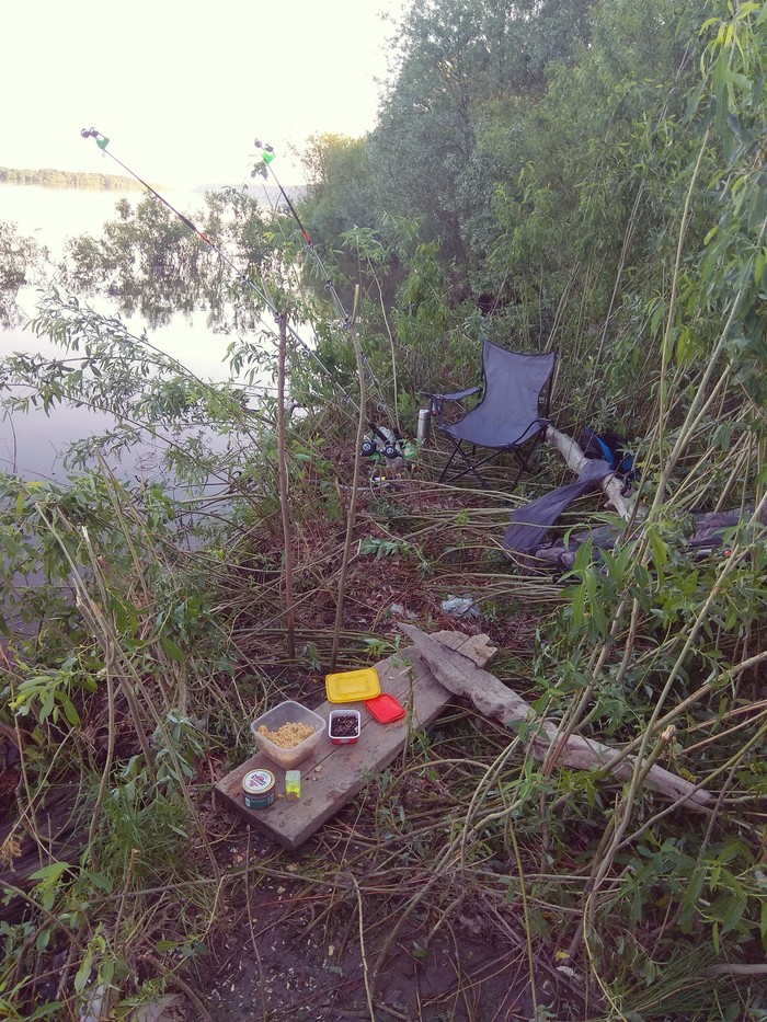 In the thicket - My, Fishing, Summer, River, community of anglers, Donka, Fishermen