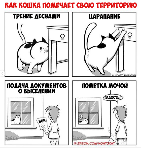 Howtocat comics - Comics, Howtocat, Lucas Turnbloom, cat, Translated by myself, Longpost