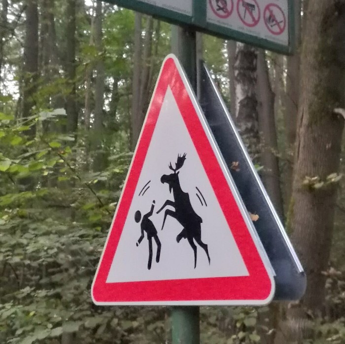 Moose - Signs, Moscow, Elk, Elk Island
